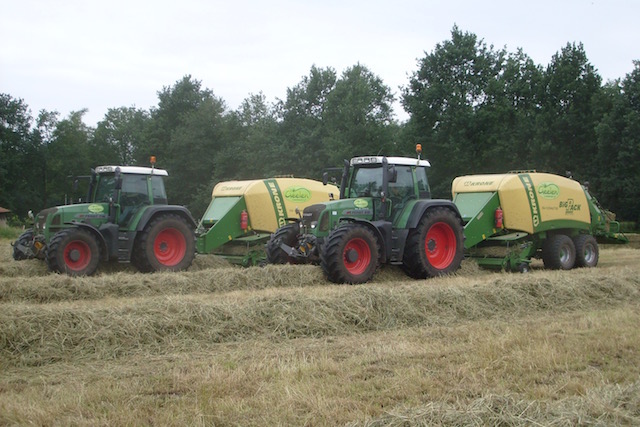 Gras oogst